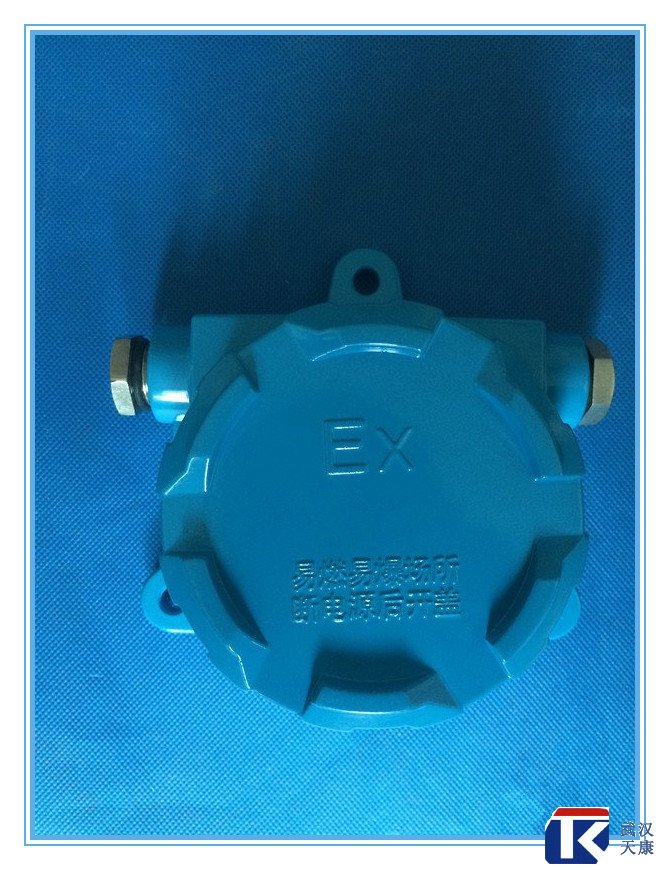 壁掛式防爆熱電阻/pt100、4-20mA輸出