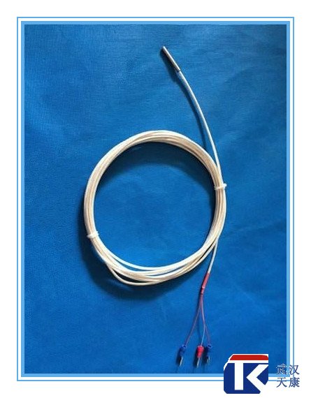 補(bǔ)償導(dǎo)線式熱電阻/WZPT-104、025/pt100熱電阻